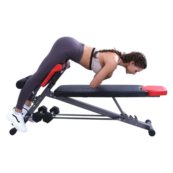 banc musculation lombaire