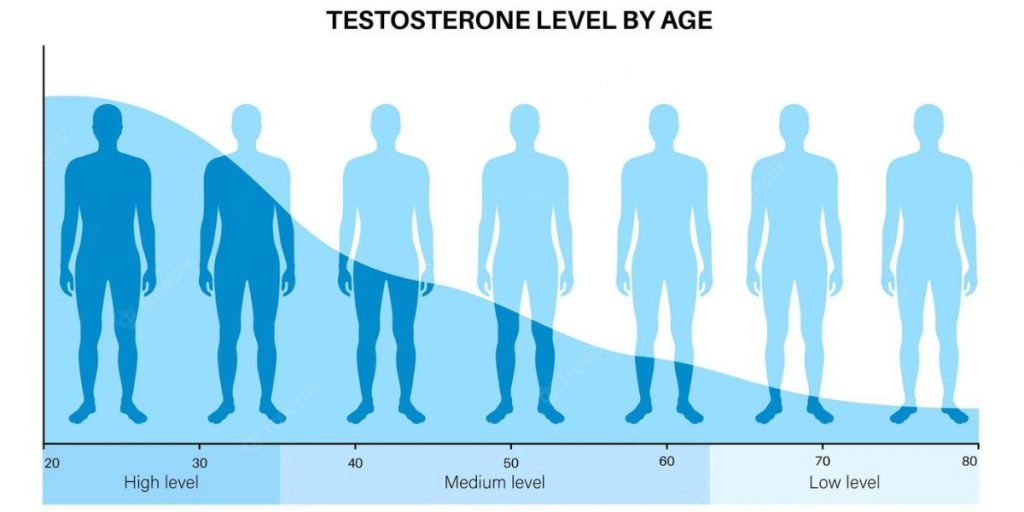 taux de testostérone